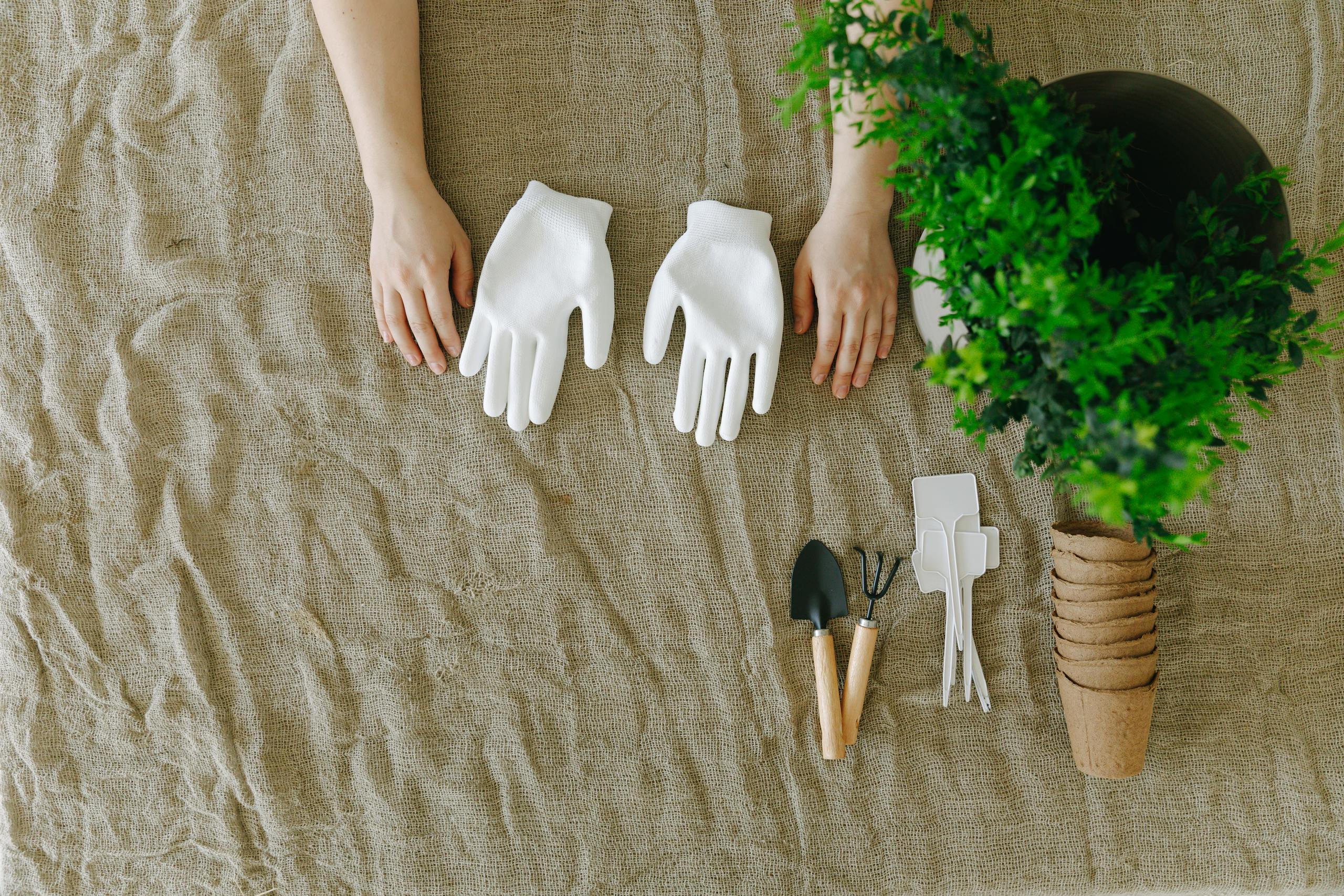 Top view of gardening tools with white gloves and hands ready to plant.